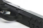Predator Tactical Night Shrike .45 ACP � 2 Tone 
